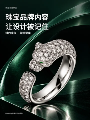 豹形珠宝封面