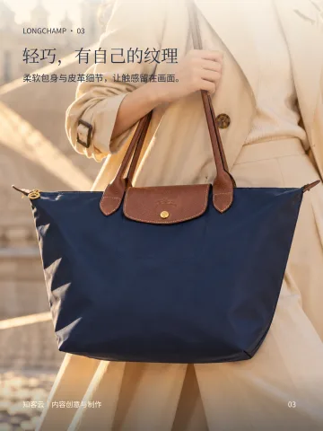 Longchamp折叠包 · 第3页